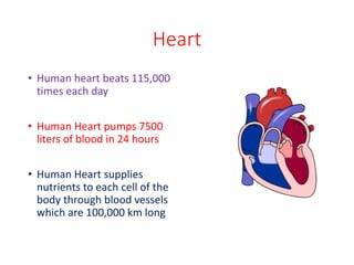Heart
• Human heart beats 115,000
times each day
• Human Heart pumps 7500
liters of blood in 24 hours
• Human Heart supplies
nutrients to each cell of the
body through blood vessels
which are 100,000 km long
 