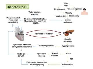 Mechanism of Heart Failure Due to Diabetes
Mellitus
Diabetes to HF
 