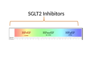 SGLT2 Inhibitors
 