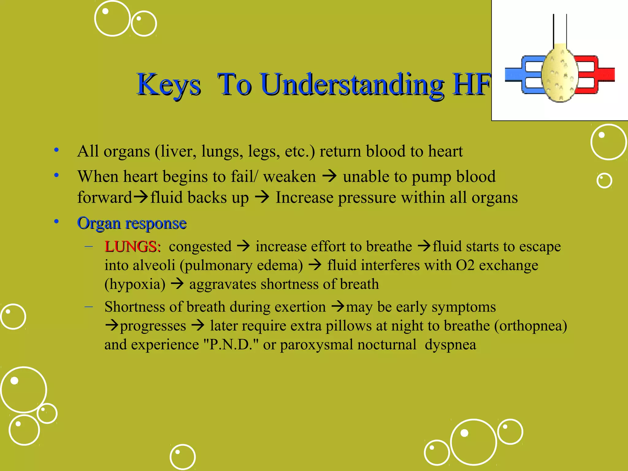 Keys To Understanding HF
• All organs (liver, lungs, legs, etc.) return blood to heart
• When heart begins to fail/ weaken  unable to pump blood
forwardfluid backs up  Increase pressure within all organs
• Organ response
– LUNGS: congested  increase effort to breathe fluid starts to escape
into alveoli (pulmonary edema)  fluid interferes with O2 exchange
(hypoxia)  aggravates shortness of breath
– Shortness of breath during exertion may be early symptoms
progresses  later require extra pillows at night to breathe (orthopnea)
and experience "P.N.D." or paroxysmal nocturnal dyspnea

 