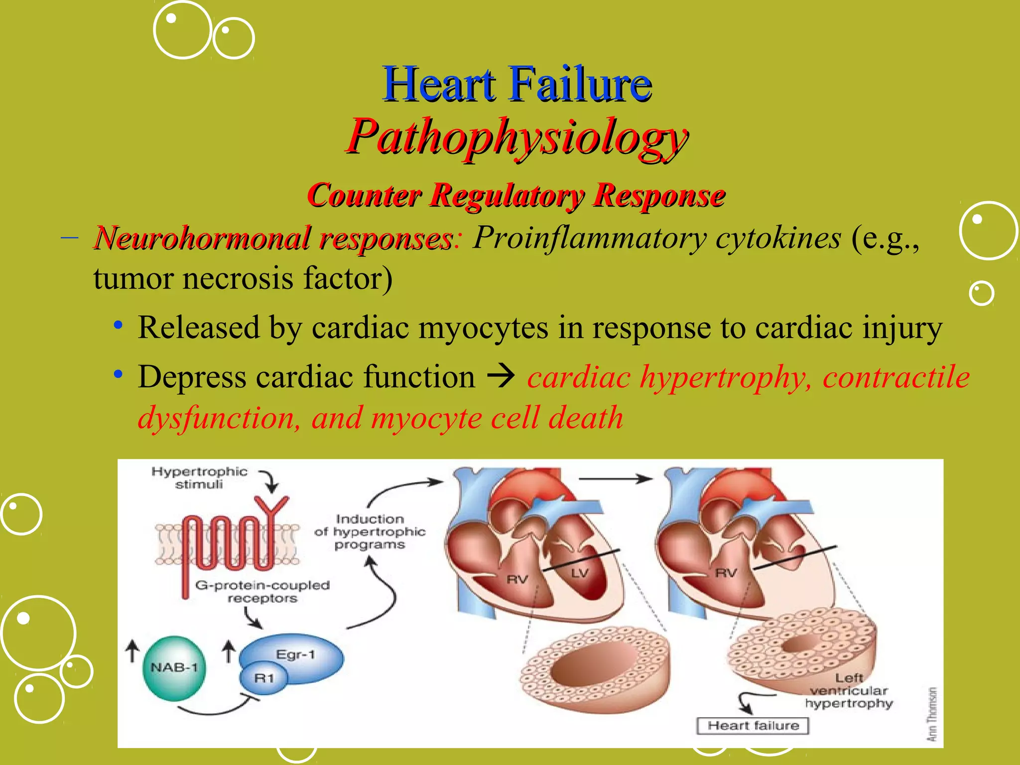 Heart Failure
Pathophysiology
Counter Regulatory Response
– Neurohormonal responses: Proinflammatory cytokines (e.g.,
responses
tumor necrosis factor)
• Released by cardiac myocytes in response to cardiac injury
• Depress cardiac function  cardiac hypertrophy, contractile
dysfunction, and myocyte cell death

 