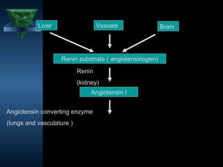 Liver                   Vessels              Brain




                   Renin substrate ( angiotensinogen)
                           Renin
                           (kidney)
                                Angiotensin I


Angiotensin converting enzyme
(lungs and vasculature )




                                                        9
 