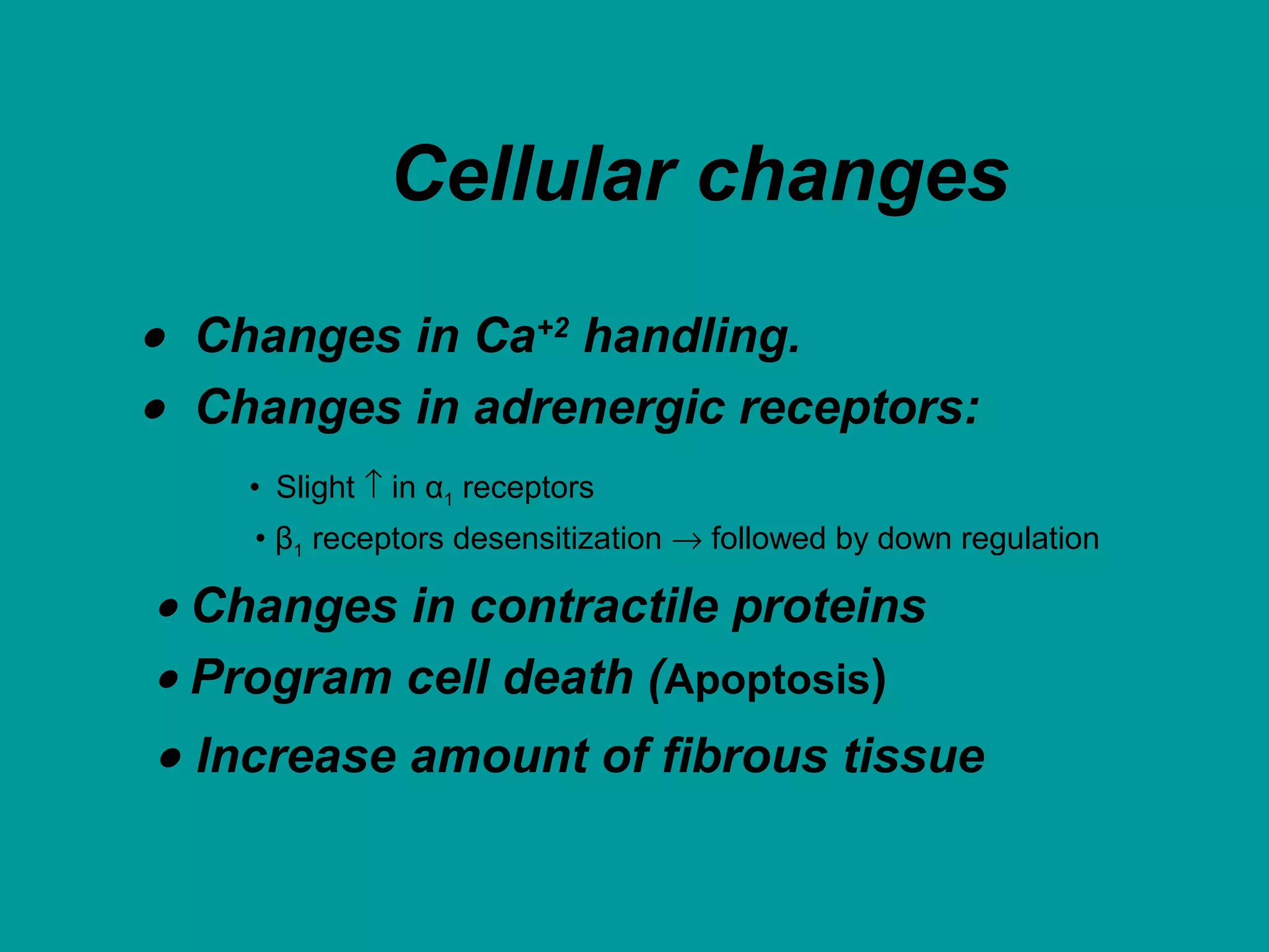 Cellular changes
• Changes in Ca+2
handling.
• Changes in adrenergic receptors:
• Slight ↑ in α1 receptors
• β1 receptors desensitization → followed by down regulation
• Changes in contractile proteins
• Program cell death (Apoptosis)
• Increase amount of fibrous tissue
 