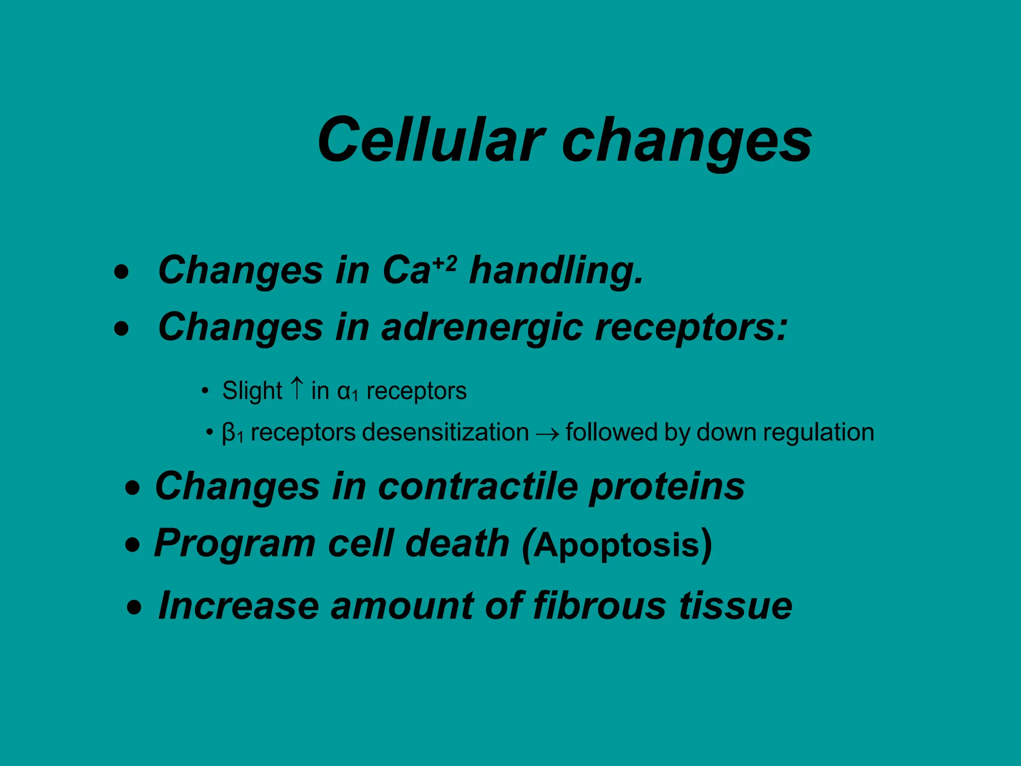 Cellular changes
 Changes in Ca+2
handling.
 Changes in adrenergic receptors:
• Slight  in α1 receptors
• β1 receptors desensitization  followed by down regulation
 Changes in contractile proteins
 Program cell death (Apoptosis)
 Increase amount of fibrous tissue
 