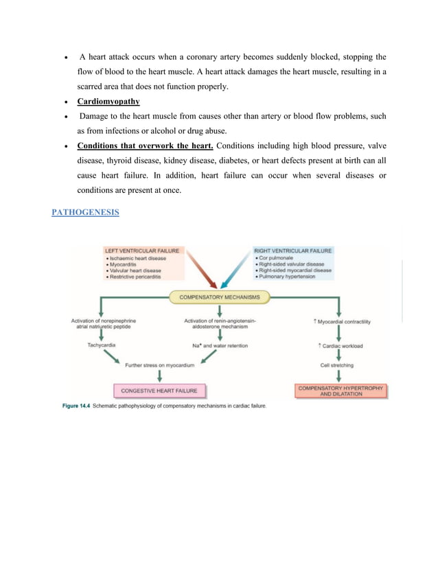 Pathophysiology of Heart failure notes | PDF