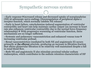 Sympathetic nervous system
--Early responseincreased release and decreased uptake of norepinephrine
(NE) at adrenergic nerve endings {Downregulation of peripheral alpha-2
receptor function, which normally inhibits NE release}
--Early in heart failure, catecholamine-induced augmentation of ventricular
contractility and heart rate help maintain cardiac output {an increase in heart
rate also enhances ventricular contractility due to the normal force-frequency
relationship} With progressive worsening of ventricular function, these
mechanisms are no longer sufficient.
--Systemic and pulmonary vasoconstriction and enhanced venous tone
increasing ventricular preload.
--Renal vasoconstriction (mediated by both NE and angiotensin II) occurs
primarily at the efferent arteriole, producing an increase in filtration fraction
that allows glomerular filtration to be relatively well maintained despite a fall
in renal blood flow.
--Both NE and angiotensin II also stimulate proximal tubular sodium
reabsorption, which contributes to the sodium retention characteristic of HF
 