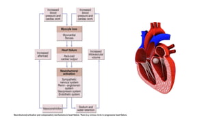 HEART FAILURE pathophysiology.pptx ppt ppt | PPTX