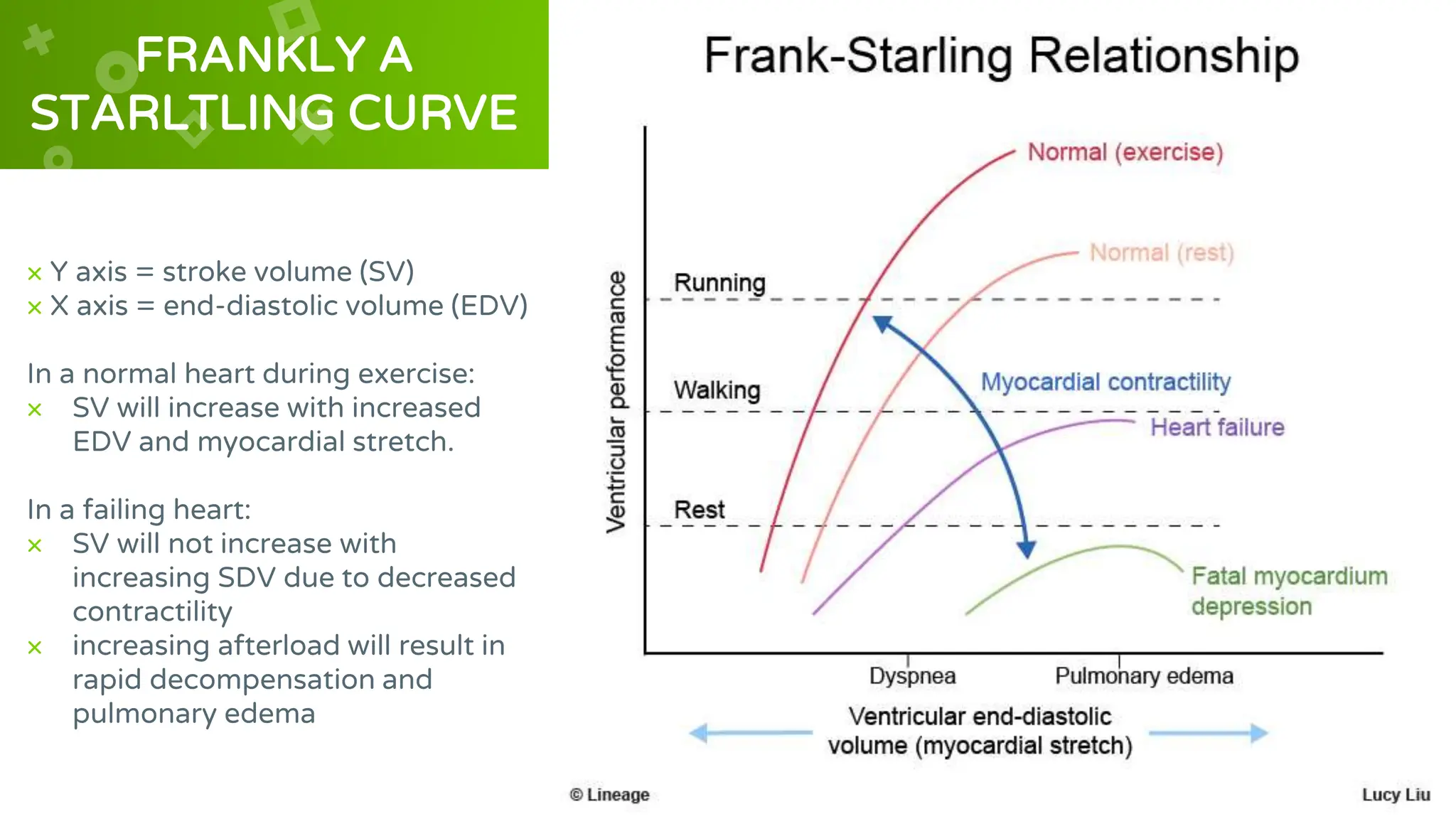 FRANKLY A
STARLTLING CURVE
× Y axis = stroke volume (SV)
× X axis = end-diastolic volume (EDV)
In a normal heart during exercise:
× SV will increase with increased
EDV and myocardial stretch.
In a failing heart:
× SV will not increase with
increasing SDV due to decreased
contractility
× increasing afterload will result in
rapid decompensation and
pulmonary edema
 
