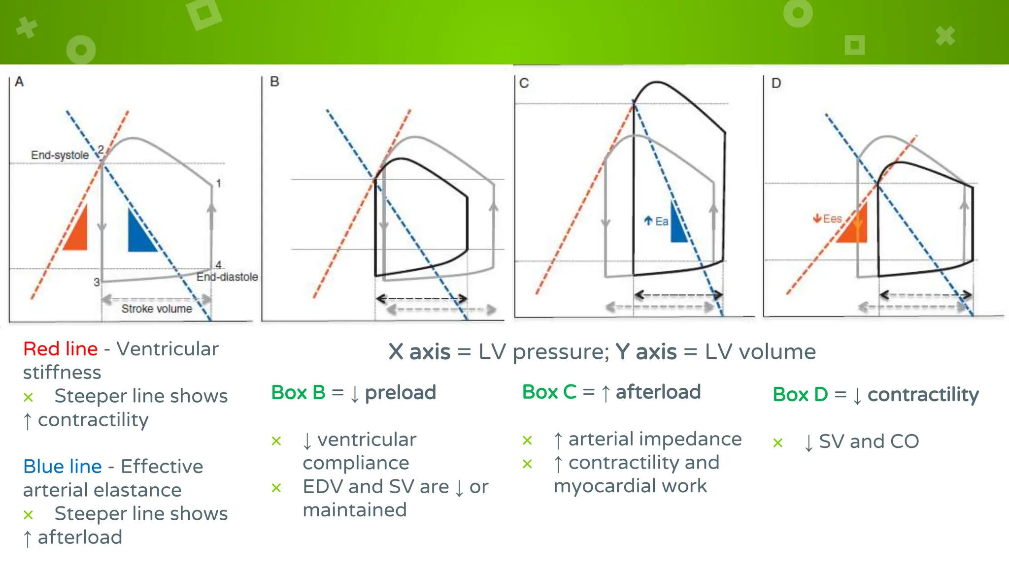 X axis = LV pressure; Y axis = LV volume
Red line - Ventricular
stiffness
× Steeper line shows
↑ contractility
Blue line - Effective
arterial elastance
× Steeper line shows
↑ afterload
Box B = ↓ preload
× ↓ ventricular
compliance
× EDV and SV are ↓ or
maintained
Box C = ↑ afterload
× ↑ arterial impedance
× ↑ contractility and
myocardial work
Box D = ↓ contractility
× ↓ SV and CO
 