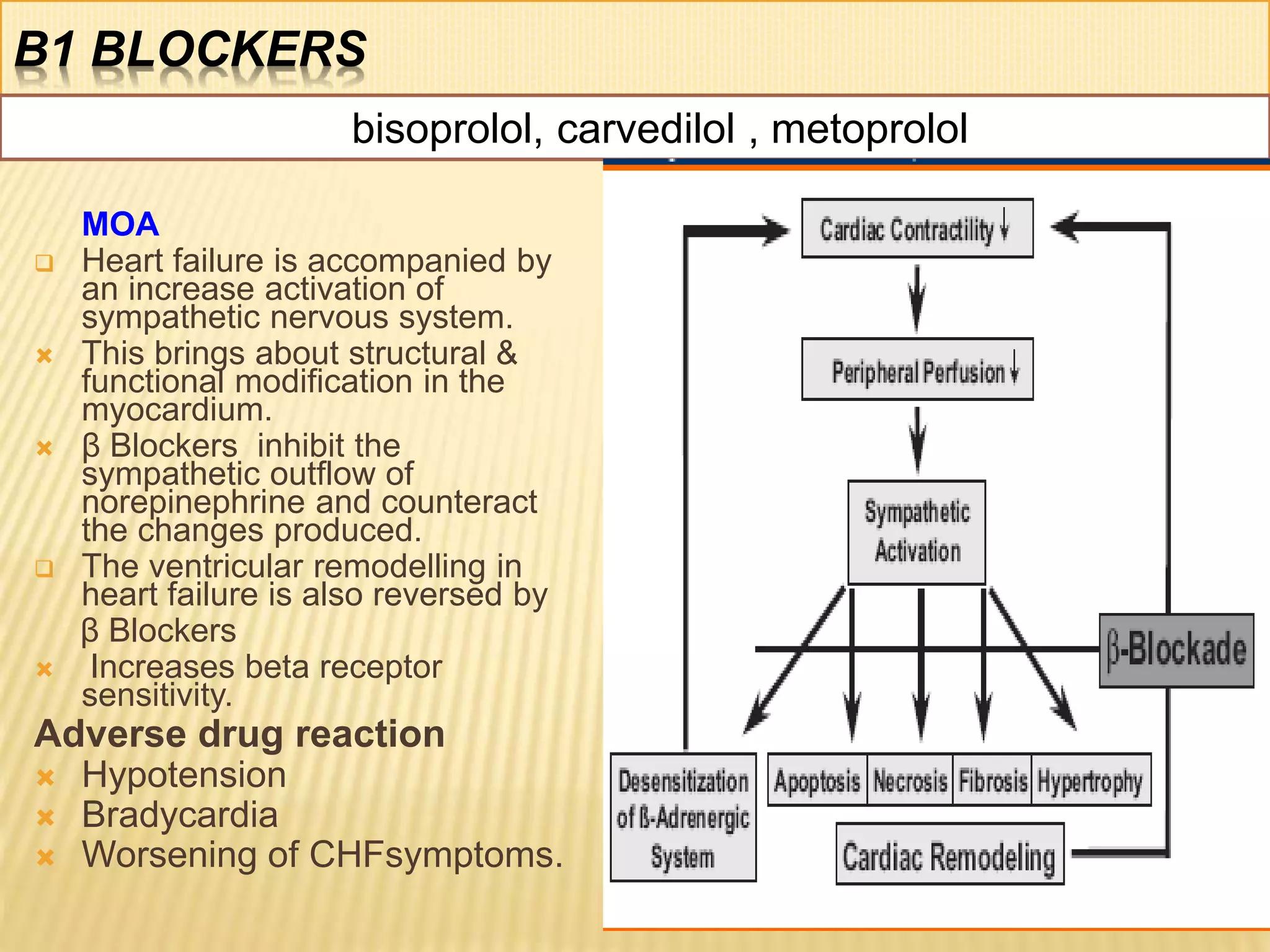 Β1 BLOCKERS
MOA
 Heart failure is accompanied by
an increase activation of
sympathetic nervous system.
 This brings about structural &
functional modification in the
myocardium.
 β Blockers inhibit the
sympathetic outflow of
norepinephrine and counteract
the changes produced.
 The ventricular remodelling in
heart failure is also reversed by
β Blockers
 Increases beta receptor
sensitivity.
Adverse drug reaction
 Hypotension
 Bradycardia
 Worsening of CHFsymptoms.
24
bisoprolol, carvedilol , metoprolol
 