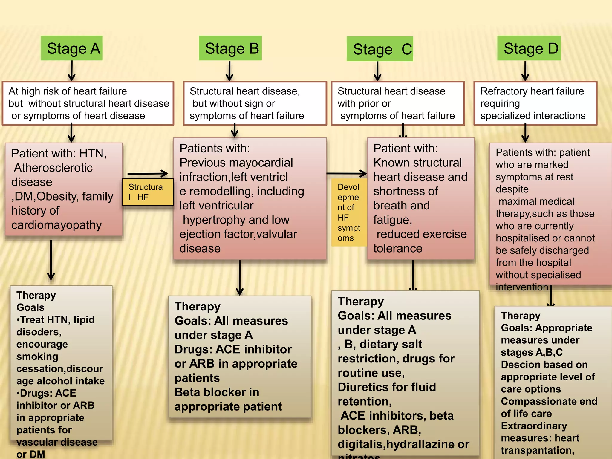 Stage A
At high risk of heart failure
but without structural heart disease
or symptoms of heart disease
Stage B
Structural heart disease,
but without sign or
symptoms of heart failure
Stage C
Structural heart disease
with prior or
symptoms of heart failure
Stage D
Refractory heart failure
requiring
specialized interactions
Patient with: HTN,
Atherosclerotic
disease
,DM,Obesity, family
history of
cardiomayopathy
Patients with:
Previous mayocardial
infraction,left ventricl
e remodelling, including
left ventricular
hypertrophy and low
ejection factor,valvular
disease
Patient with:
Known structural
heart disease and
shortness of
breath and
fatigue,
reduced exercise
tolerance
Patients with: patient
who are marked
symptoms at rest
despite
maximal medical
therapy,such as those
who are currently
hospitalised or cannot
be safely discharged
from the hospital
without specialised
intervention
Structura
l HF
Devol
epme
nt of
HF
sympt
oms
Therapy
Goals
•Treat HTN, lipid
disoders,
encourage
smoking
cessation,discour
age alcohol intake
•Drugs: ACE
inhibitor or ARB
in appropriate
patients for
vascular disease
or DM
Therapy
Goals: All measures
under stage A
Drugs: ACE inhibitor
or ARB in appropriate
patients
Βeta blocker in
appropriate patient
Therapy
Goals: All measures
under stage A
, B, dietary salt
restriction, drugs for
routine use,
Diuretics for fluid
retention,
ACE inhibitors, beta
blockers, ARB,
digitalis,hydrallazine or
Therapy
Goals: Appropriate
measures under
stages A,B,C
Descion based on
appropriate level of
care options
Compassionate end
of life care
Extraordinary
measures: heart
transpantation,
 
