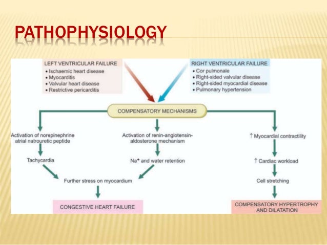 Heart failure ppt