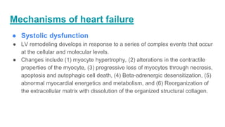 Mechanisms of heart failure
● Systolic dysfunction
● LV remodeling develops in response to a series of complex events that occur
at the cellular and molecular levels.
● Changes include (1) myocyte hypertrophy, (2) alterations in the contractile
properties of the myocyte, (3) progressive loss of myocytes through necrosis,
apoptosis and autophagic cell death, (4) Beta-adrenergic desensitization, (5)
abnormal myocardial energetics and metabolism, and (6) Reorganization of
the extracellular matrix with dissolution of the organized structural collagen.
 