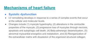 Mechanisms of heart failure
● Systolic dysfunction
● LV remodeling develops in response to a series of complex events that occur
at the cellular and molecular levels.
● Changes include (1) myocyte hypertrophy, (2) alterations in the contractile
properties of the myocyte, (3) progressive loss of myocytes through necrosis,
apoptosis and autophagic cell death, (4) Beta-adrenergic desensitization, (5)
abnormal myocardial energetics and metabolism, and (6) Reorganization of
the extracellular matrix with dissolution of the organized structural collagen.
 