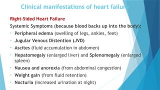 Clinical manifestations of heart failure
Right-Sided Heart Failure
Systemic Symptoms (because blood backs up into the body):
• Peripheral edema (swelling of legs, ankles, feet)
• Jugular Venous Distention (JVD)
• Ascites (fluid accumulation in abdomen)
• Hepatomegaly (enlarged liver) and Splenomegaly (enlarged
spleen)
• Nausea and anorexia (from abdominal congestion)
• Weight gain (from fluid retention)
• Nocturia (increased urination at night)
 