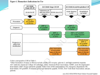 2017 ACC/AHA/HFSA Heart Failure Focused Update
 