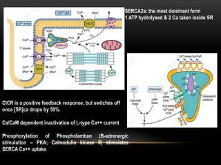Heart failure with preserved ejection fraction | PPTX