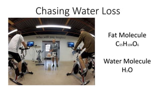 Chasing Water Loss 
Fat Molecule 
C55H104O6 
Water Molecule 
H2O 
 