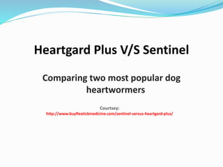 Heartgard Plus versus Sentinel PPT