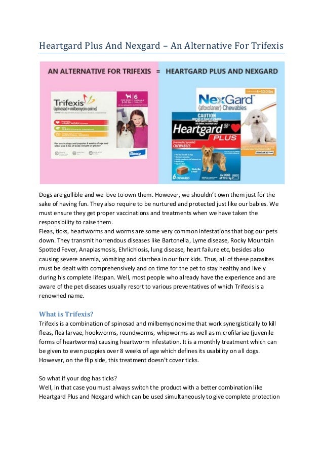 heartgard plus nexgard for dogs