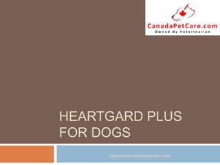 HEARTGARD PLUS
FOR DOGS
https://www.canadapetcare.com/
 