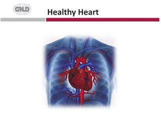 DiabetesGlobal Health CrisisCancerCardiovascular Disease  #1 Killer50%    INCREASE !!!Diabetes> 1 Billion People