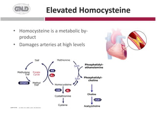 Causes 1 in 5 deaths			The #1 KillerHeart Health Facts	
