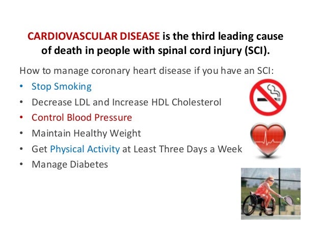 Heart Health Tips Heart health tips