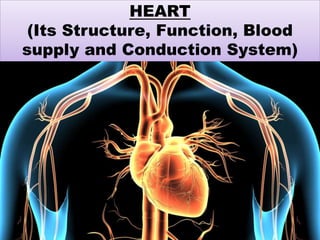 HEART
(Its Structure, Function, Blood
supply and Conduction System)
 