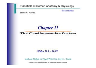 Essentials of Human Anatomy & Physiology
Seventh Edition
Elaine N. Marieb
Chapter 11
The Cardiovascular System
Slides 11.1 – 11.19
Lecture Slides in PowerPoint by Jerry L. Cook
Copyright © 2003 Pearson Education, Inc. publishing as Benjamin Cummings
 