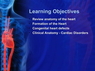 Learning Objectives
•   Review anatomy of the heart
•   Formation of the Heart
•   Congenital heart defects
•   Clinical Anatomy - Cardiac Disorders
 