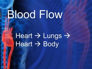 Blood Flow
 Heart  Lungs 
 Heart  Body
 