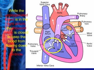 While the
unoxygenated
blood is in the
  right atrium,
  the tricuspid
valve is closed
   to keep the
   blood from
 flowing down
      to the
    ventricle.
 