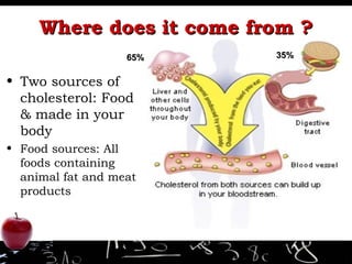 Where does it come from ? Two sources of cholesterol: Food & made in your body Food sources: All foods containing animal fat and meat products 65% 35% 