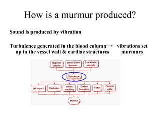 HEART MURMURS | PPT
