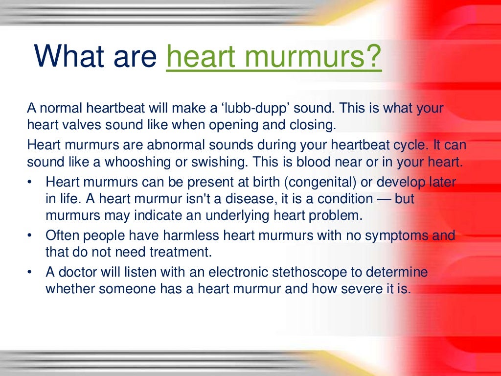 Heart murmurs what you need to know