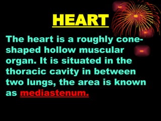 HEART
The heart is a roughly cone-
shaped hollow muscular
organ. It is situated in the
thoracic cavity in between
two lungs, the area is known
as mediastenum.
 