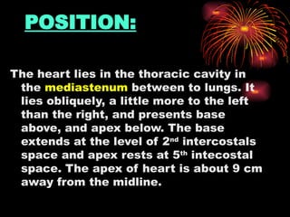 POSITION:
The heart lies in the thoracic cavity in
the mediastenum between to lungs. It
lies obliquely, a little more to the left
than the right, and presents base
above, and apex below. The base
extends at the level of 2nd
intercostals
space and apex rests at 5th
intecostal
space. The apex of heart is about 9 cm
away from the midline.
 