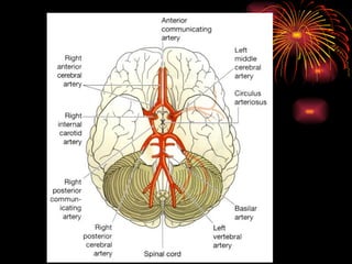 Heart n Circulation.pptx for GnM students