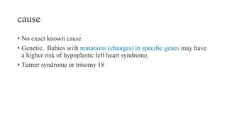 cause
• No exact known cause
• Genetic. Babies with mutations (changes) in specific genes may have
a higher risk of hypoplastic left heart syndrome.
• Turner syndrome or trisomy 18
 