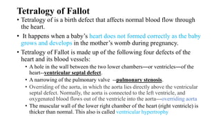 Tetralogy of Fallot
• Tetralogy of is a birth defect that affects normal blood flow through
the heart.
• It happens when a baby’s heart does not formed correctly as the baby
grows and develops in the mother’s womb during pregnancy.
• Tetralogy of Fallot is made up of the following four defects of the
heart and its blood vessels:
• A hole in the wall between the two lower chambers―or ventricles―of the
heart--ventricular septal defect.
• A narrowing of the pulmonary valve --pulmonary stenosis.
• Overriding of the aorta, in which the aorta lies directly above the ventricular
septal defect. Normally, the aorta is connected to the left ventricle, and
oxygenated blood flows out of the ventricle into the aorta---overriding aorta
• The muscular wall of the lower right chamber of the heart (right ventricle) is
thicker than normal. This also is called ventricular hypertrophy
 