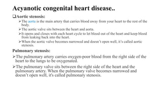 Acyanotic congenital heart disease..
Aortic stenosis:
The aorta is the main artery that carries blood away from your heart to the rest of the
body.
The aortic valve sits between the heart and aorta.
It opens and closes with each heart cycle to let blood out of the heart and keep blood
from leaking back into the heart.
When the aortic valve becomes narrowed and doesn’t open well, it’s called aortic
stenosis.
Pulmonary stenosis:
The pulmonary artery carries oxygen-poor blood from the right side of the
heart to the lungs to be oxygenated.
The pulmonary valve sits between the right side of the heart and the
pulmonary artery. When the pulmonary valve becomes narrowed and
doesn’t open well, it's called pulmonary stenosis.
 