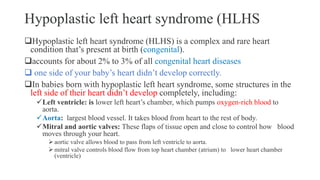Hypoplastic left heart syndrome (HLHS
Hypoplastic left heart syndrome (HLHS) is a complex and rare heart
condition that’s present at birth (congenital).
accounts for about 2% to 3% of all congenital heart diseases
 one side of your baby’s heart didn’t develop correctly.
In babies born with hypoplastic left heart syndrome, some structures in the
left side of their heart didn’t develop completely, including:
Left ventricle: is lower left heart’s chamber, which pumps oxygen-rich blood to
aorta.
Aorta: largest blood vessel. It takes blood from heart to the rest of body.
Mitral and aortic valves: These flaps of tissue open and close to control how blood
moves through your heart.
 aortic valve allows blood to pass from left ventricle to aorta.
 mitral valve controls blood flow from top heart chamber (atrium) to lower heart chamber
(ventricle)
 