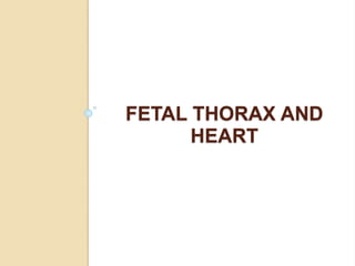 FETAL THORAX AND
HEART
 