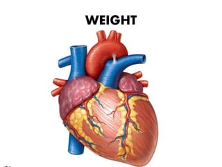 WEIGHT
 
