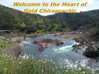 Welcome to the Heart of
   Gold Chiropractic
 