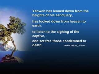 Yahweh has leaned down from the
heights of his sanctuary,
has looked down from heaven to
earth,
to listen to the sighing of the
captive,
and set free those condemned to
death. Psalm 102: 19, 20 NJB
 