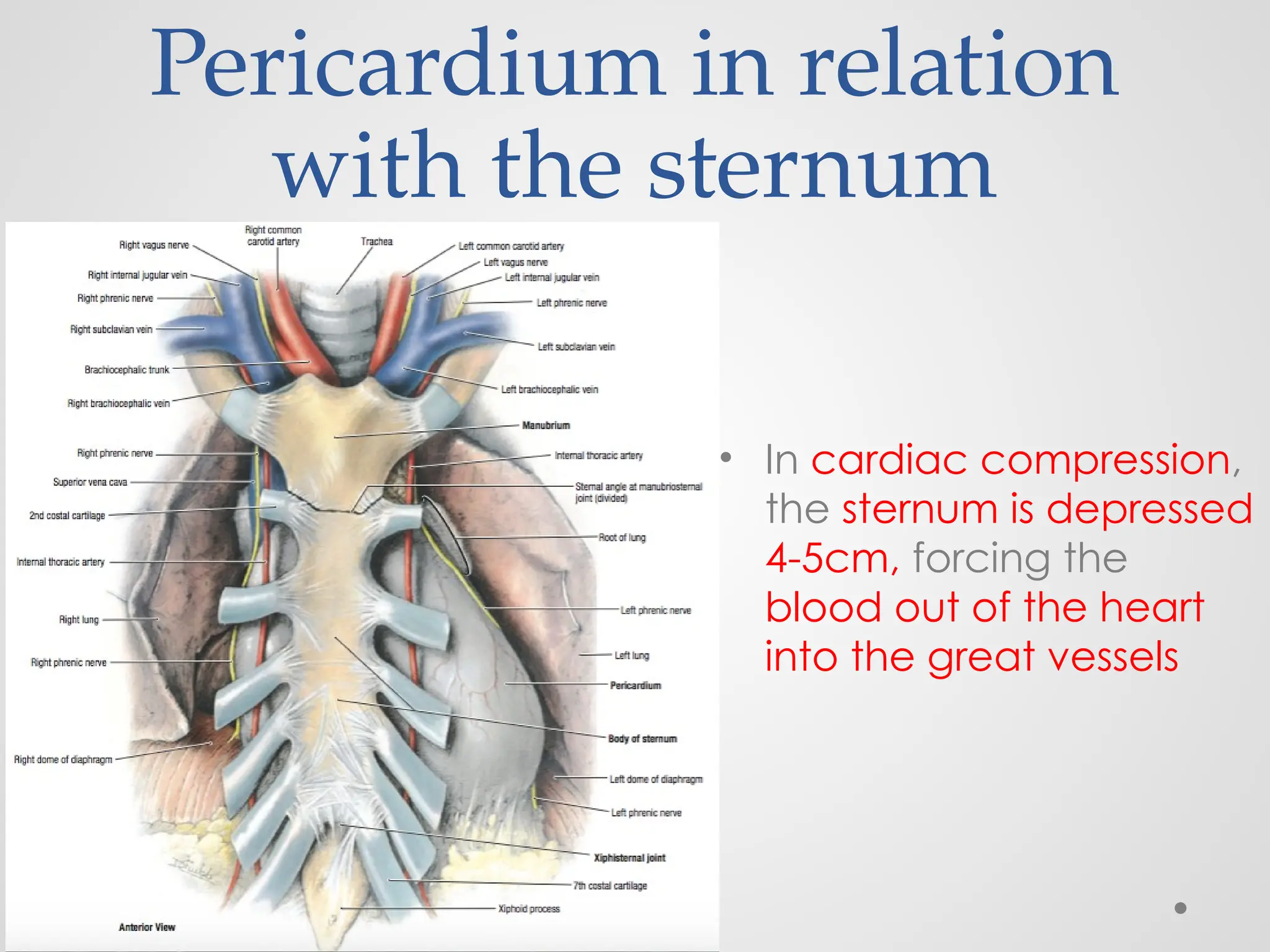 Sternal Compression Heart Part-2 By Dr. Rabia Inam Gandapore.pptx