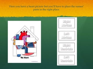 Here you have a heart picture but you’ll have to place the names’
parts in the right place.
 