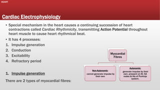 HEART

Cardiac Electrophysiology
▪ Special mechanism in the heart causes a continuing succession of heart
contractions called Cardiac Rhythmicity, transmitting Action Potential throughout
heart muscle to cause heart rhythmical beat.
▪ It has 4 processes:
1. Impulse generation
2. Conduction
Myocardial
3. Excitability
Fibres
4. Refractory period
1. Impulse generation
There are 2 types of myocardial fibres:

Non-Autonomic:
cannot generate impulse by
their own

Autonomic:
generate impulse by their
own. pressent at AV, SA
nodes & His of Purkinje
system.

 